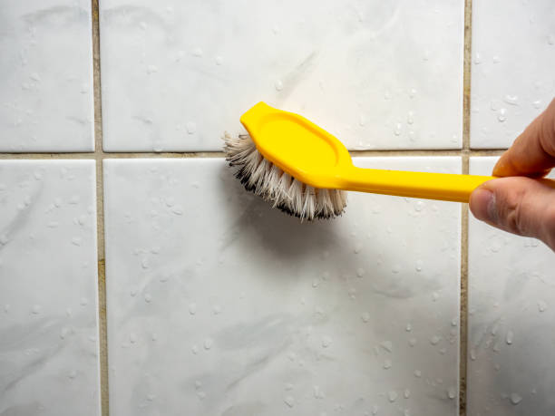 Best Local Mold Removal Service  in Wd, AR