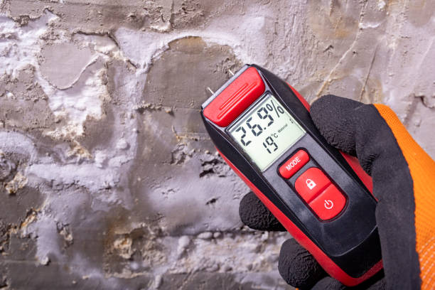 Best Certified Mold Removal  in Wd, AR