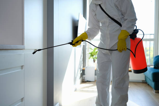 Best Mold Cleaning Services  in Wd, AR